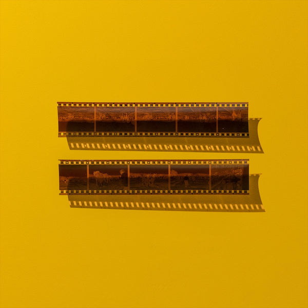 Negative Scanning Service Negative Digital Scanner Southtree