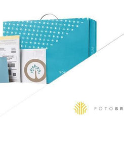 Southtree vs. Fotobridge