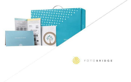 Southtree vs. Fotobridge