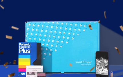 Southtree - Beginners Guide