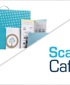 Southtree vs. Scan Cafe