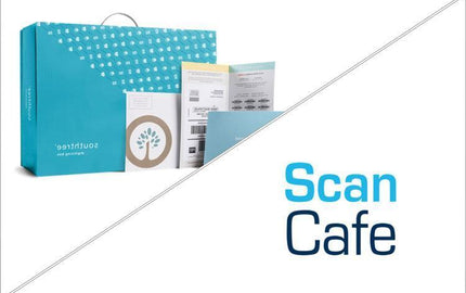 Southtree vs. Scan Cafe