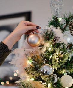 This is Your Brain. This is Your Brain on Christmas.