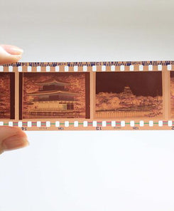 How Much Does It Cost to Scan Negatives?