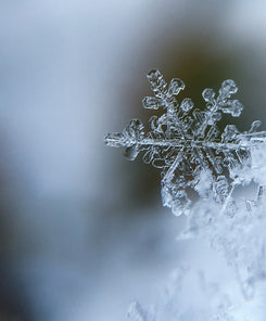 Winter vs. Your Memories