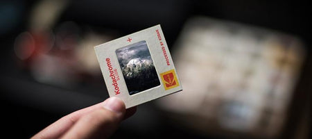 Cleaning my Slides Before Digitizing