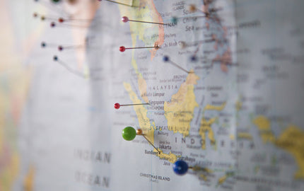 Where Did Travelers Visit Most in 2019?